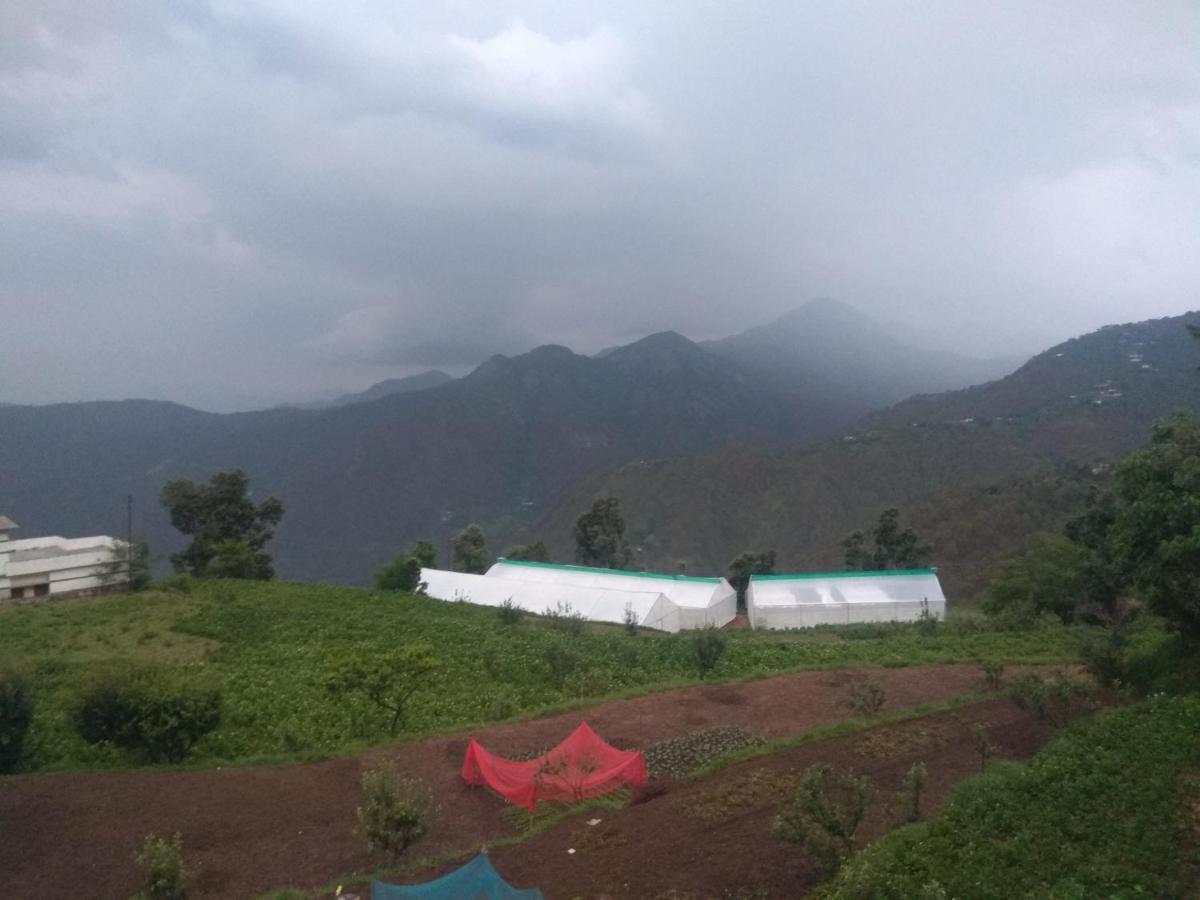 Green View Resort New Tehri Luaran gambar