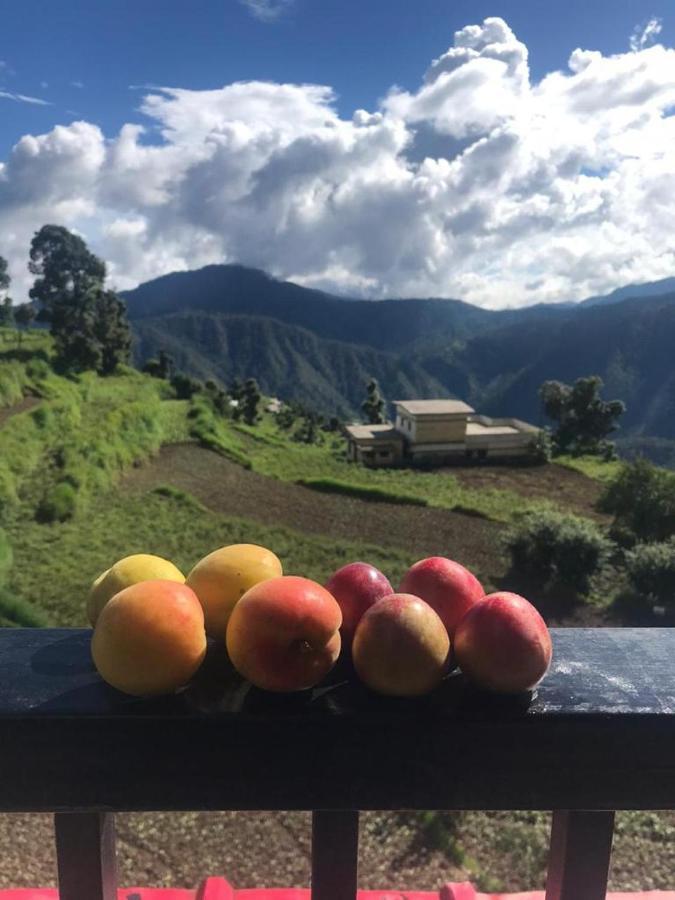 Green View Resort New Tehri Luaran gambar